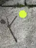 Foto: Ast liegt auf Asphalt neben einem neongelben runden Sticker
